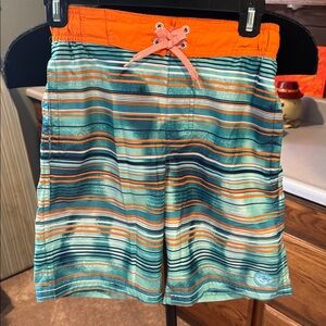 Zero X Posur Striped Swim Shorts